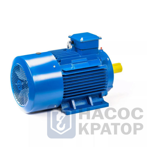 Электродвигатель 5АИ 225 М8 30/750 IM1001