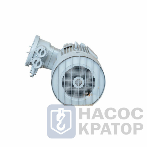 Электродвигатель 2АИМУР 355 S2 У1, 380/660В, класс изоляции F, 1ExdbIIBT4 Gb X, РТC (статор), подшипники SKF, 355/3000 IM1001