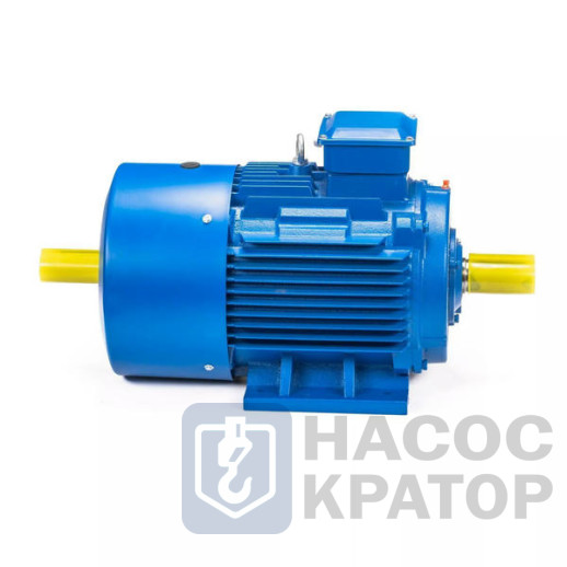 Электродвигатель 5АИ 180 М6 18,5/1000 IM1002