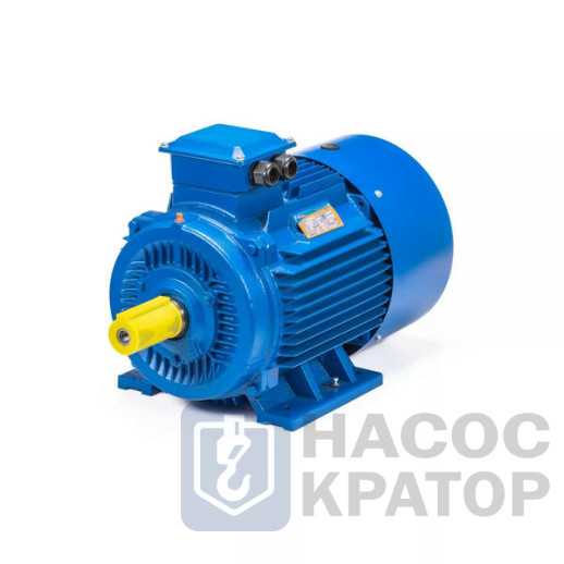 Электродвигатель 5АИ 180 М6 18,5/1000 IM1002