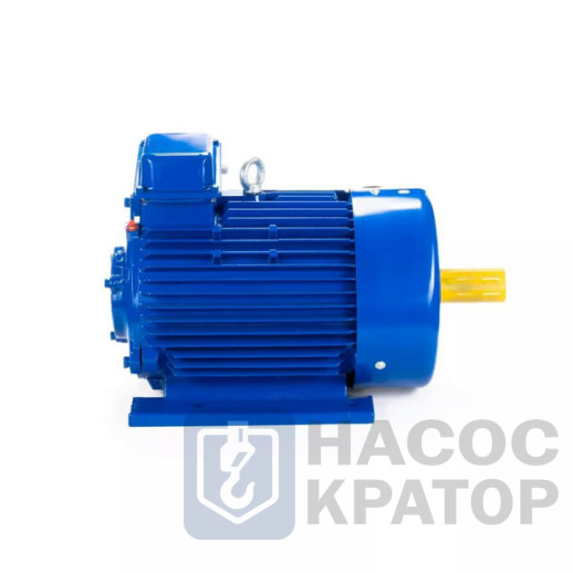 Электродвигатель 5МТКН 412-8 22/750 IM1003