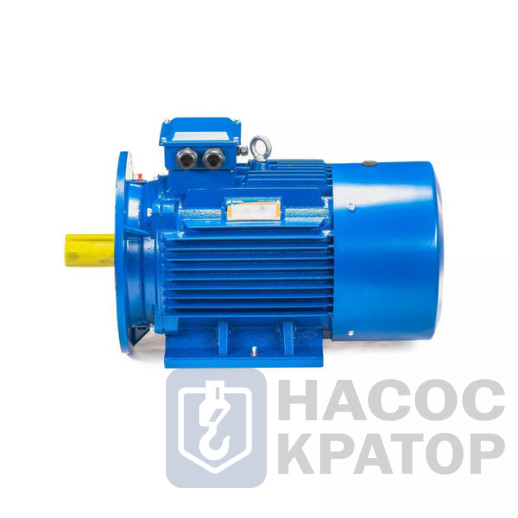 Электродвигатель 5АИ 200 L4 45/1500 IM2001