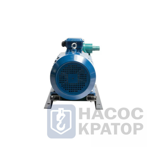 Насос Ш 80-2,5-37,5/2,5 с электродвигателем 11/1000