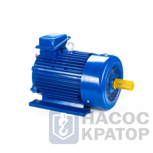 Электродвигатель 5МТКН 411-8 15/750 IM1003