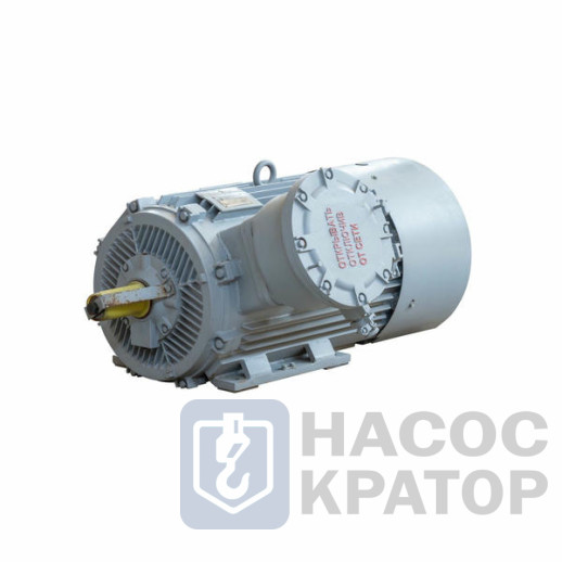 Электродвигатель 2АИМУР 315 L2 У1, 380/660В, класс изоляции F, 1ExdIIBT4 Gb, РТC (статор), подшипники SKF, 315/3000 IM1001