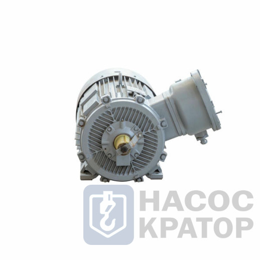 Электродвигатель 2АИМУР 315 L2 У1, 380/660В, класс изоляции F, 1ExdIIBT4 Gb, РТC (статор), подшипники SKF, 315/3000 IM1001