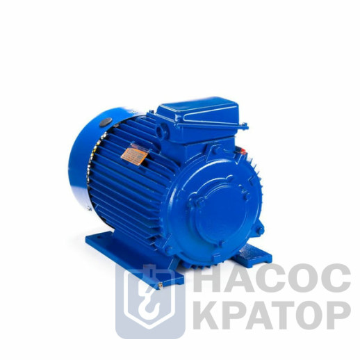 Электродвигатель 5МТКН 200 LA6 22/1000 IM1003
