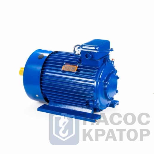 Электродвигатель 5МТКН 200 LA6 22/1000 IM1003