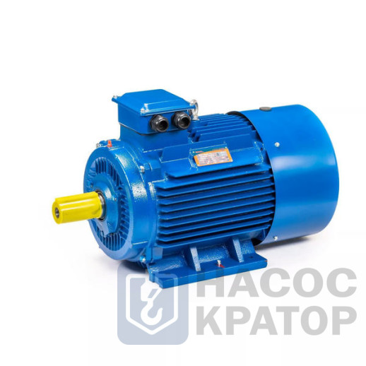 Электродвигатель 5АИ 200 L4 45/1500 IM1001