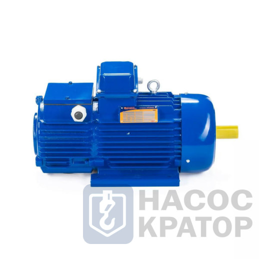 Электродвигатель 5МТН 312-8 11/750 IM1001