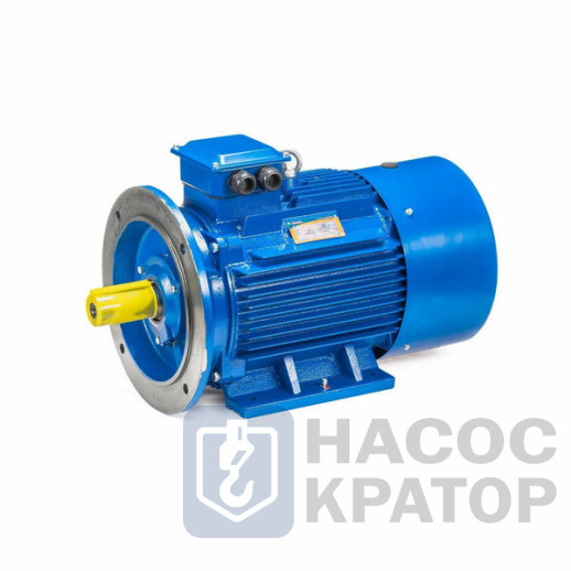 Электродвигатель 5АИ 200 М2 37/3000 IM2001