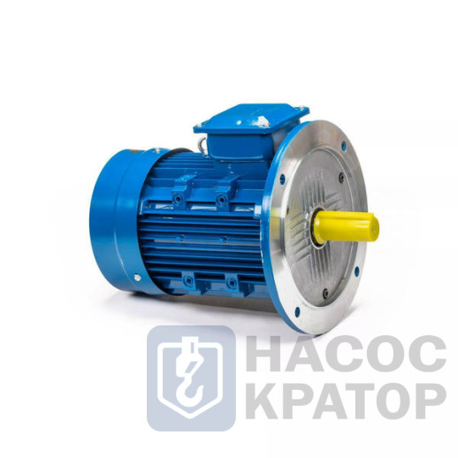 Электродвигатель 5АИ 100 L4 4/1500 IM3081