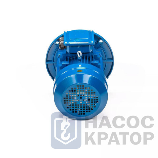 Электродвигатель 5АИ 100 L4 4/1500 IM3081