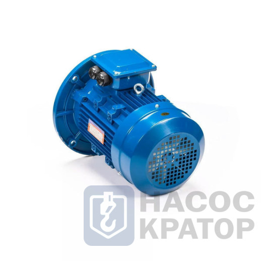 Электродвигатель 5АИ 100 L4 4/1500 IM3081