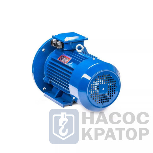 Электродвигатель 5АИ 100 L2 5,5/3000 IM2081