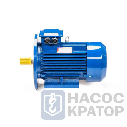 Электродвигатель 5АИ 100 L2 5,5/3000 IM2081
