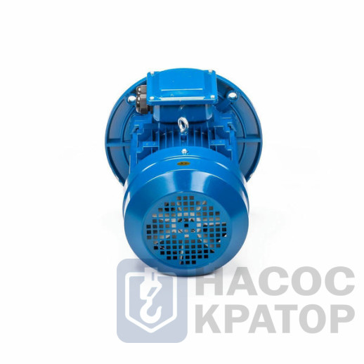 Электродвигатель 5АИ 100 L2 5,5/3000 IM3081