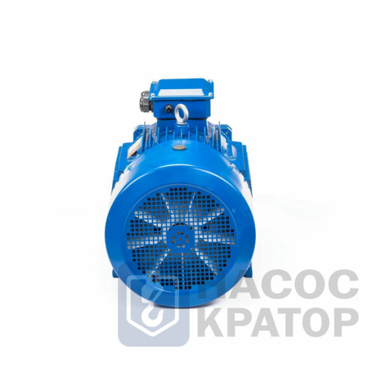 Электродвигатель 5АИ 200 L8 22/750 IM1001