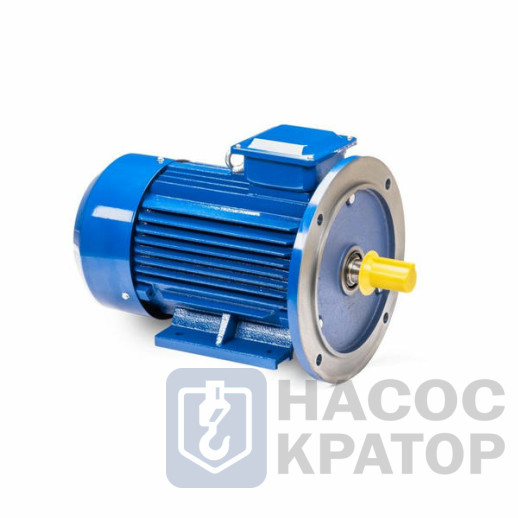 Электродвигатель 5АИ 100 L8 1,5/750 IM2081