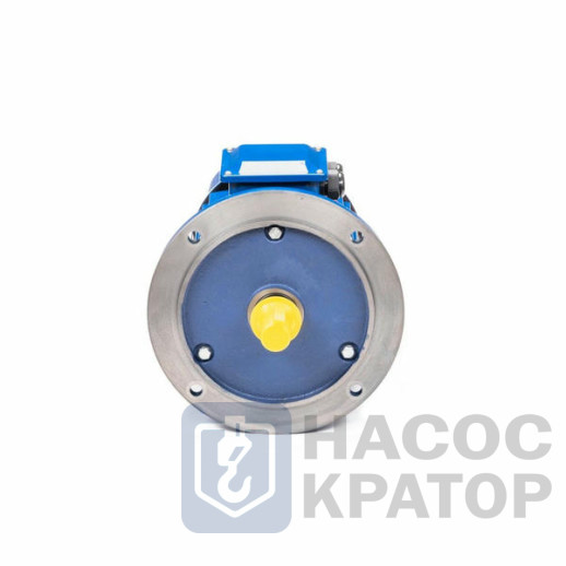Электродвигатель 5АИ 100 L8 1,5/750 IM2081