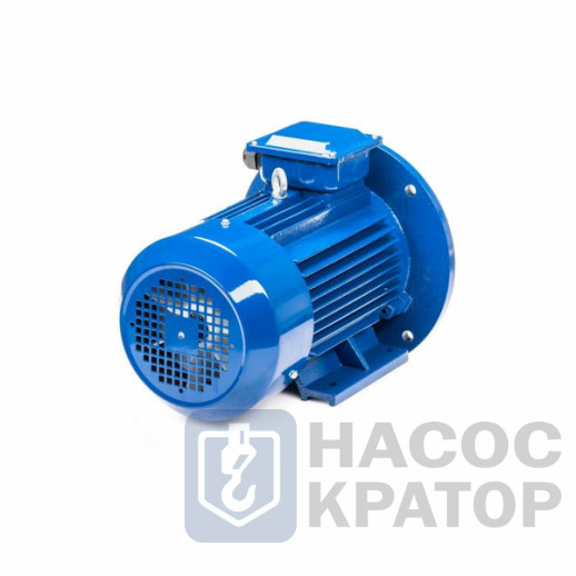 Электродвигатель 5АИ 100 L8 1,5/750 IM2081