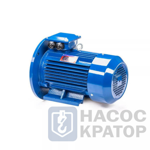 Электродвигатель 5АИ 100 L8 1,5/750 IM2081