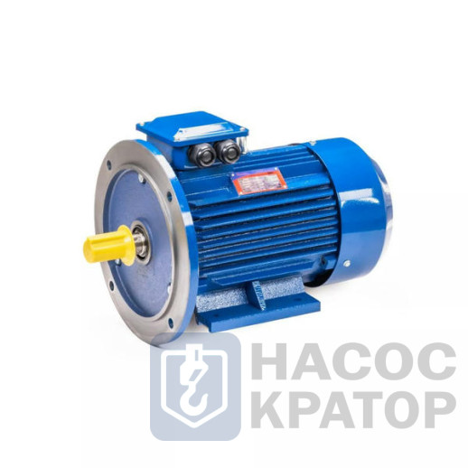 Электродвигатель 5АИ 100 L8 1,5/750 IM2081