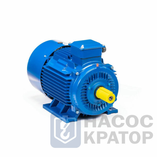 Электродвигатель 5АИ 200 М2 37/3000 IM1001