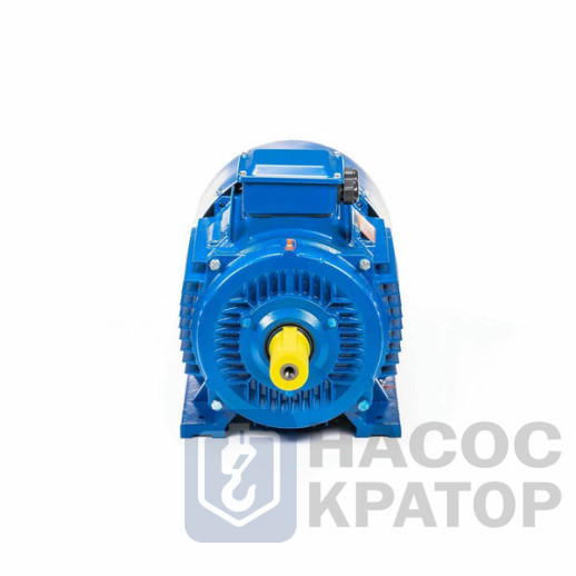 Электродвигатель 5АИ 200 М2 37/3000 IM1001