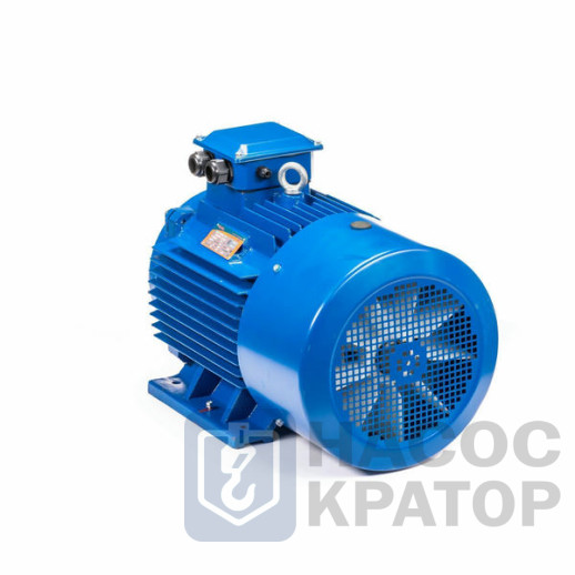 Электродвигатель 5АИ 200 М2 37/3000 IM1001