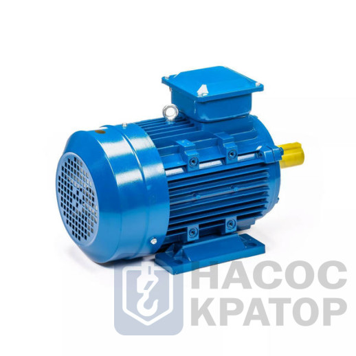 Электродвигатель 5АИ 100 L4 4/1500 IM1081