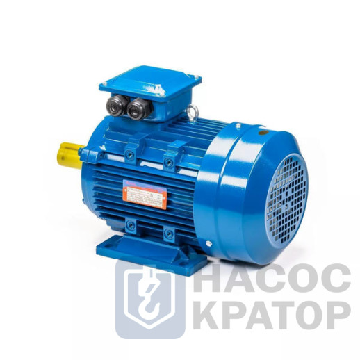 Электродвигатель 5АИ 100 L4 4/1500 IM1081