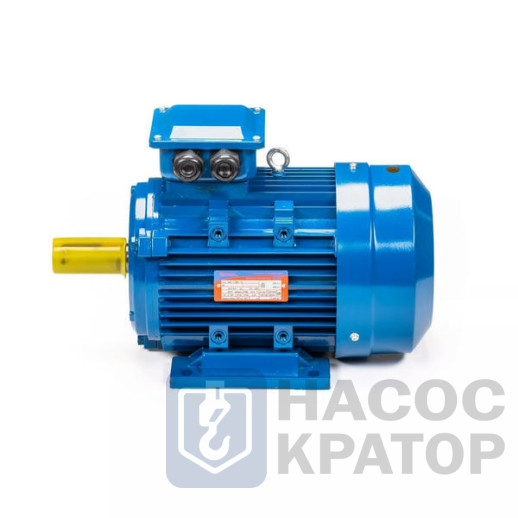 Электродвигатель 5АИ 100 L4 4/1500 IM1081