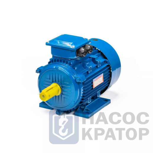 Электродвигатель 5АИ 100 L4 4/1500 IM1081