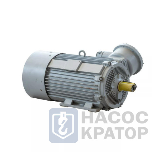 Электродвигатель 2АИМУРЧР 315 S2-1 380/660В, класс изоляции N, 1ЕхdIIBT4Gb, РТС (cтатор), независимая вентиляция, подшипники SKF (задний токоизолир,), 160/3000 IM1001