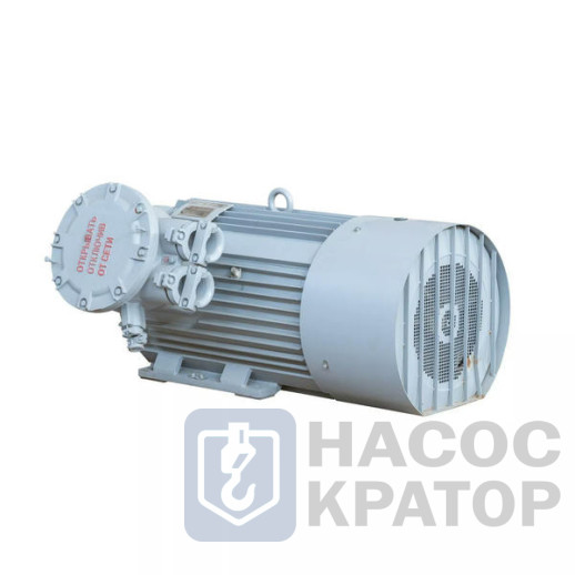 Электродвигатель 2АИМУРЧР 315 S2-1 380/660В, класс изоляции N, 1ЕхdIIBT4Gb, РТС (cтатор), независимая вентиляция, подшипники SKF (задний токоизолир,), 160/3000 IM1001