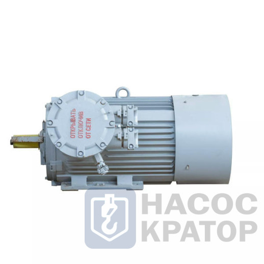 Электродвигатель 2АИМУРЧР 315 S2-1 380/660В, класс изоляции N, 1ЕхdIIBT4Gb, РТС (cтатор), независимая вентиляция, подшипники SKF (задний токоизолир,), 160/3000 IM1001