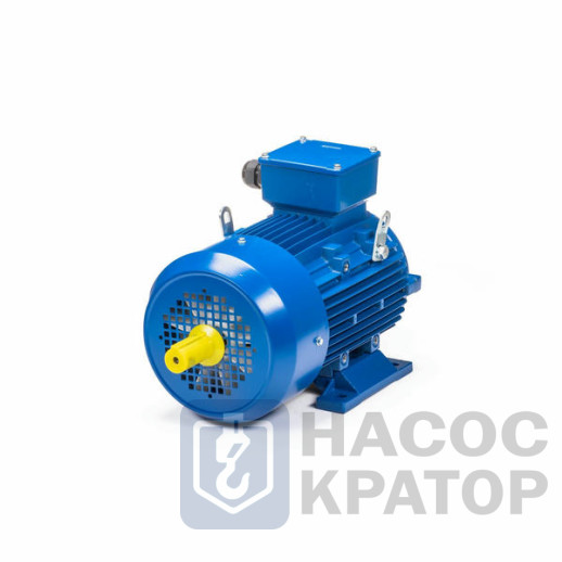 Электродвигатель 5АИ 160 М4 18,5/1500 IM1002