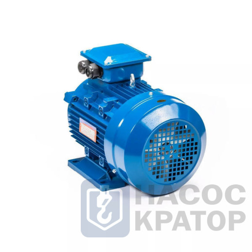 Электродвигатель 5АИ 100 L2 5,5/3000 IM1081