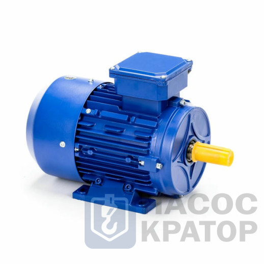 Электродвигатель 5АИ 200 L6 У1 30/1000 IM1081