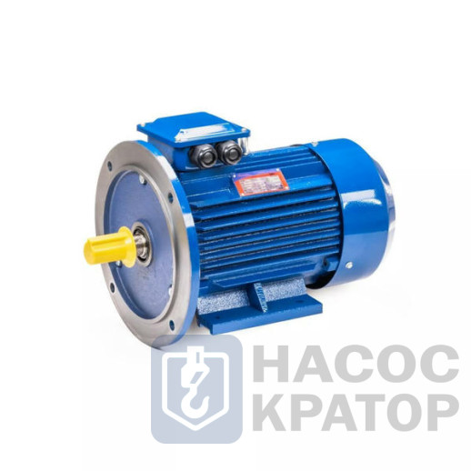 Электродвигатель 5АИ 100 L6 2,2/1000 IM2081