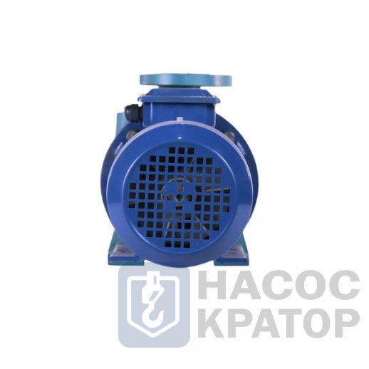 Насос КМ 100-65-200 СД с электродвигателем 30/3000