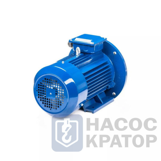 Электродвигатель 5АИ 100 S4 3/1500 IM2081