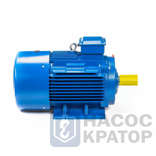 Электродвигатель 5АИ 200 М6 22/1000 IM1001