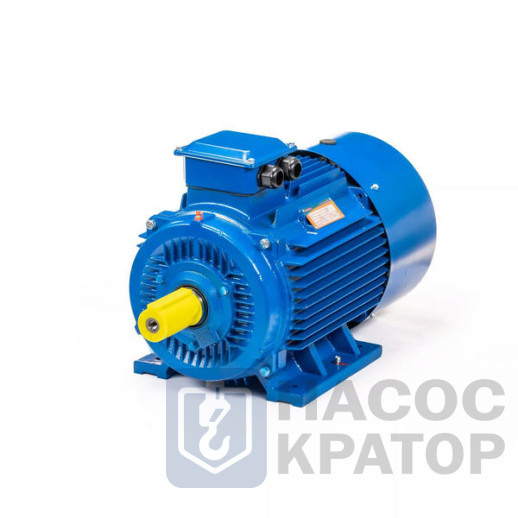 Электродвигатель 5АИ 200 М6 22/1000 IM1001