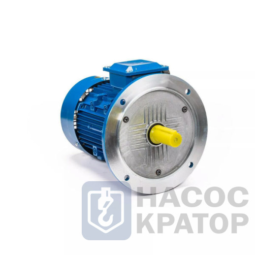 Электродвигатель 5АИ 100 S4 3/1500 IM3081