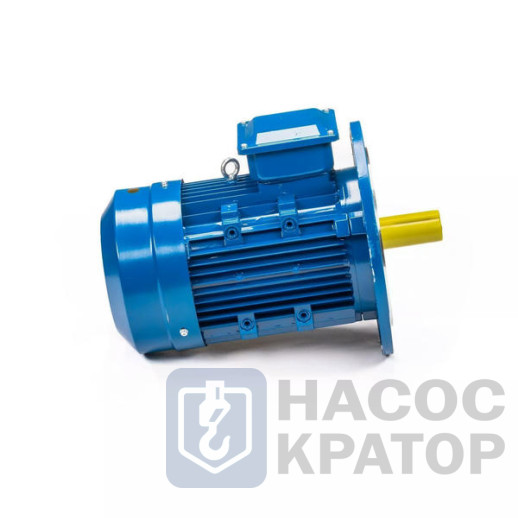 Электродвигатель 5АИ 100 S4 3/1500 IM3081