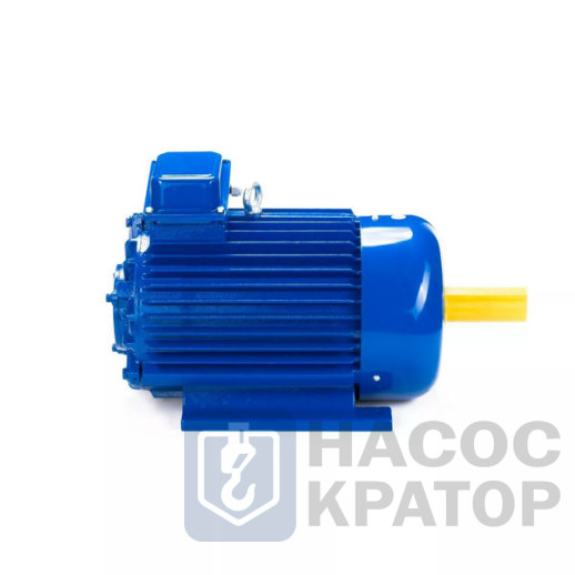 Электродвигатель 5MTKH 132 LB6