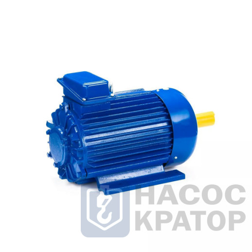 Электродвигатель 5MTKH 132 LB6