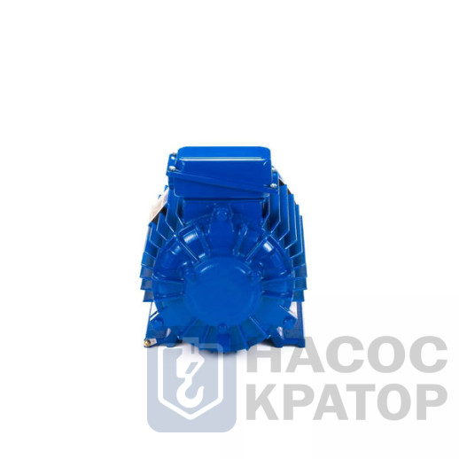 Электродвигатель 5MTKH 132 LB6